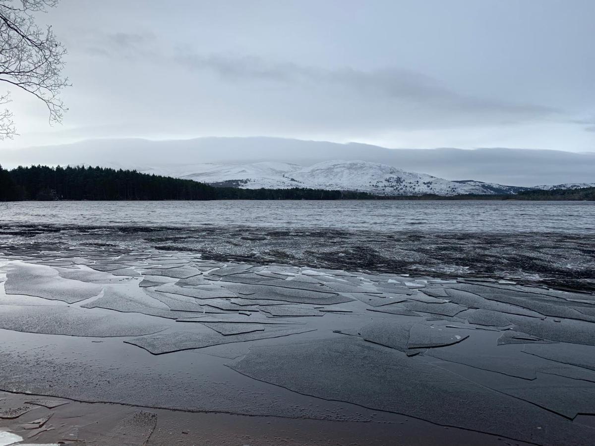 The One - Chalet In The Cairngorms Boat of Garten Kültér fotó